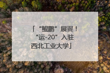 “鲲鹏”展翼！“运-20”入驻西北工业大学