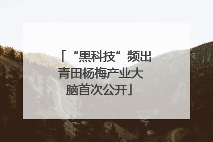 “黑科技”频出 青田杨梅产业大脑首次公开