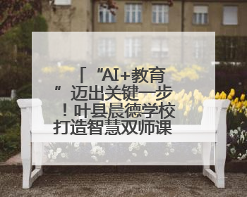 “AI+教育”迈出关键一步！叶县晨德学校打造智慧双师课堂新范式