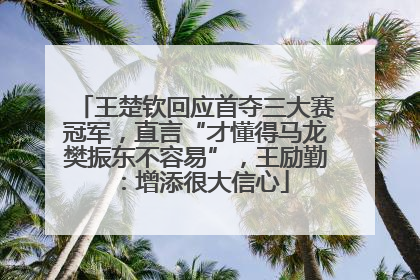 王楚钦回应首夺三大赛冠军，直言“才懂得马龙樊振东不容易”，王励勤：增添很大信心