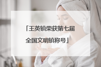 王英镇荣获第七届全国文明镇称号