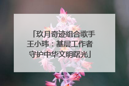 玖月奇迹组合歌手王小玮：基层工作者守护中华文明曙光
