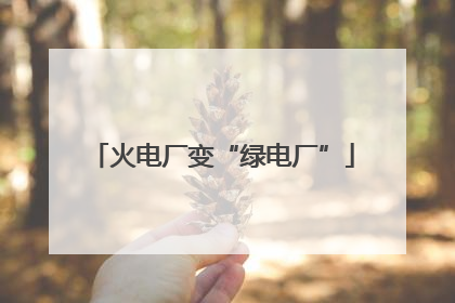 火电厂变“绿电厂”