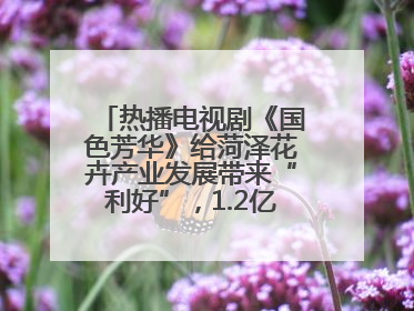热播电视剧《国色芳华》给菏泽花卉产业发展带来“利好”，1.2亿枝芍药鲜切花绽放“国色芳华”