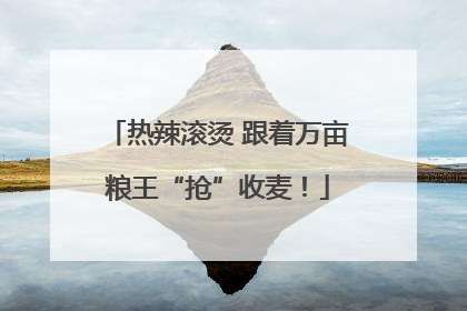 热辣滚烫 跟着万亩粮王“抢”收麦！