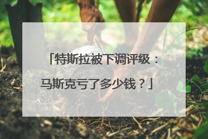 特斯拉被下调评级：马斯克亏了多少钱？