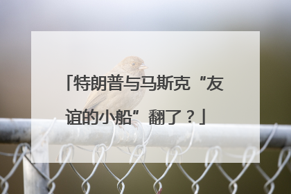 特朗普与马斯克“友谊的小船”翻了？