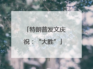 特朗普发文庆祝：“大胜”