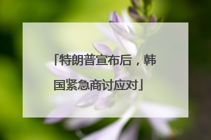 特朗普宣布后，韩国紧急商讨应对