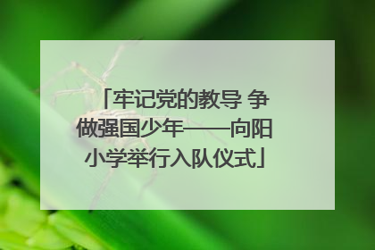牢记党的教导 争做强国少年——向阳小学举行入队仪式