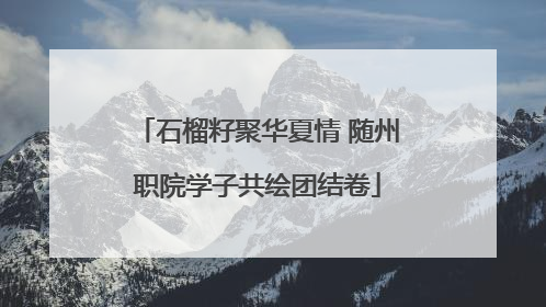石榴籽聚华夏情 随州职院学子共绘团结卷