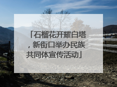 石榴花开耀白塔，新街口举办民族共同体宣传活动