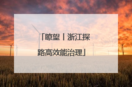 瞭望丨浙江探路高效能治理