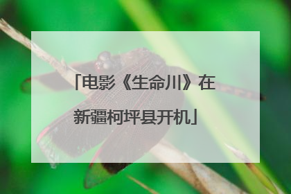 电影《生命川》在新疆柯坪县开机