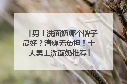 男士洗面奶哪个牌子最好？清爽无负担！十大男士洗面奶推荐