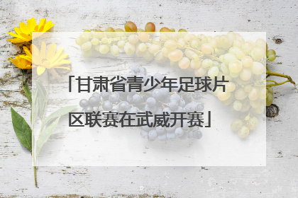 甘肃省青少年足球片区联赛在武威开赛
