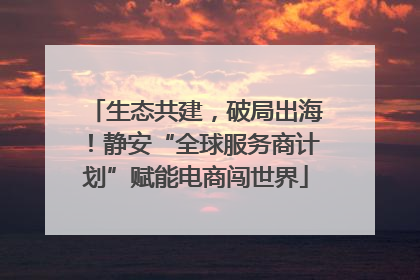 生态共建，破局出海！静安“全球服务商计划”赋能电商闯世界