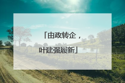 由政转企，叶建强履新