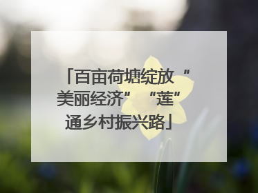 百亩荷塘绽放“美丽经济”“莲”通乡村振兴路