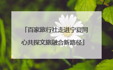 百家旅行社走进宁夏同心共探文旅融合新路径