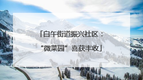 白午街道振兴社区：“微菜园”喜获丰收