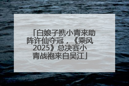 白娘子携小青来助阵许仙夺冠，《乘风2025》总决赛小青战袍来自吴江