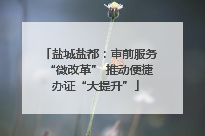 盐城盐都：审前服务“微改革” 推动便捷办证“大提升”