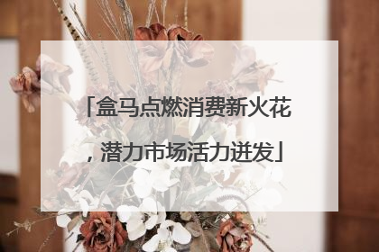 盒马点燃消费新火花，潜力市场活力迸发