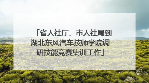 省人社厅、市人社局到湖北东风汽车技师学院调研技能竞赛集训工作