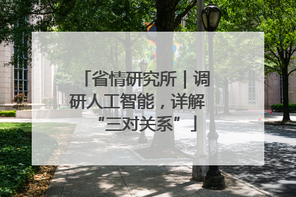 省情研究所｜调研人工智能，详解“三对关系”