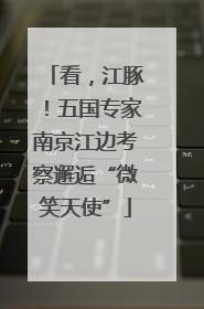看，江豚！五国专家南京江边考察邂逅“微笑天使”