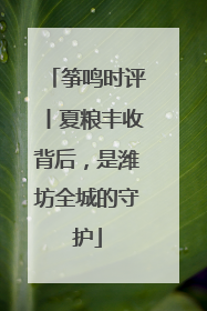 筝鸣时评丨夏粮丰收背后，是潍坊全城的守护
