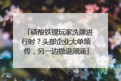 磷酸铁锂玩家洗牌进行时？头部企业大单频传，另一边撤退潮涌