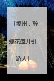 福州：醉蝶花盛开引游人