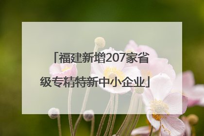 福建新增207家省级专精特新中小企业