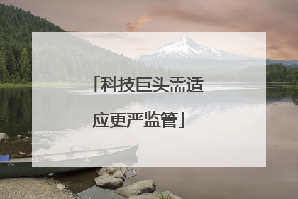 科技巨头需适应更严监管