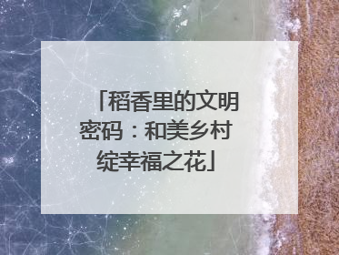 稻香里的文明密码：和美乡村绽幸福之花