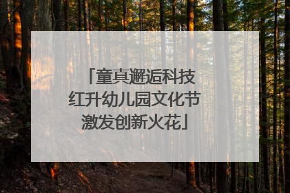 童真邂逅科技 红升幼儿园文化节激发创新火花