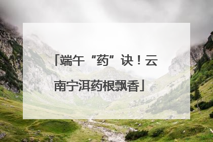 端午“药”诀！云南宁洱药根飘香