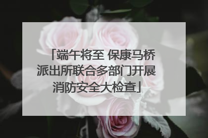 端午将至 保康马桥派出所联合多部门开展消防安全大检查