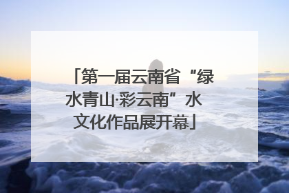 第一届云南省“绿水青山·彩云南”水文化作品展开幕