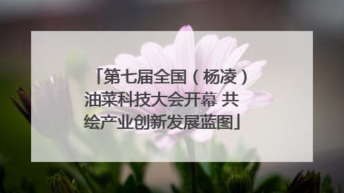 第七届全国（杨凌）油菜科技大会开幕 共绘产业创新发展蓝图