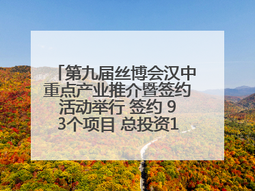 第九届丝博会汉中重点产业推介暨签约活动举行 签约 93个项目 总投资132.23 亿元