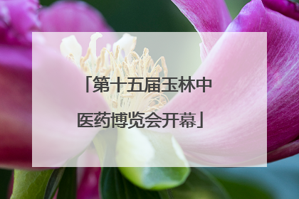 第十五届玉林中医药博览会开幕