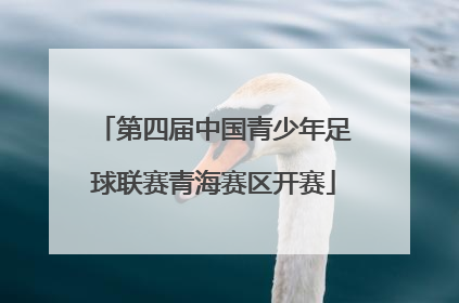 第四届中国青少年足球联赛青海赛区开赛