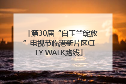 第30届“白玉兰绽放”电视节临港新片区CITY WALK路线
