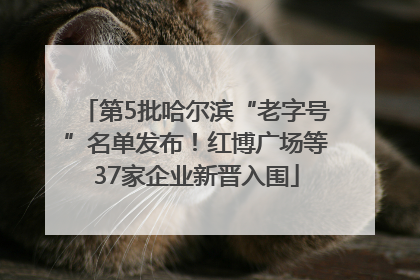 第5批哈尔滨“老字号”名单发布！红博广场等37家企业新晋入围