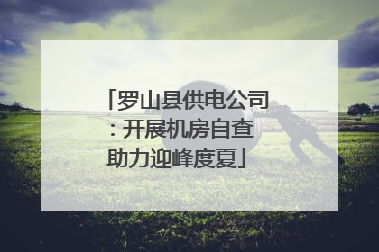罗山县供电公司：开展机房自查 助力迎峰度夏