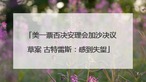 美一票否决安理会加沙决议草案 古特雷斯：感到失望