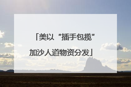 美以“插手包揽”加沙人道物资分发